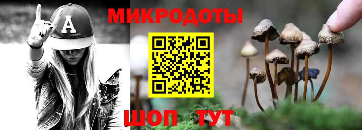 Галлюциногенные грибы Magic Shrooms Зеленодольск